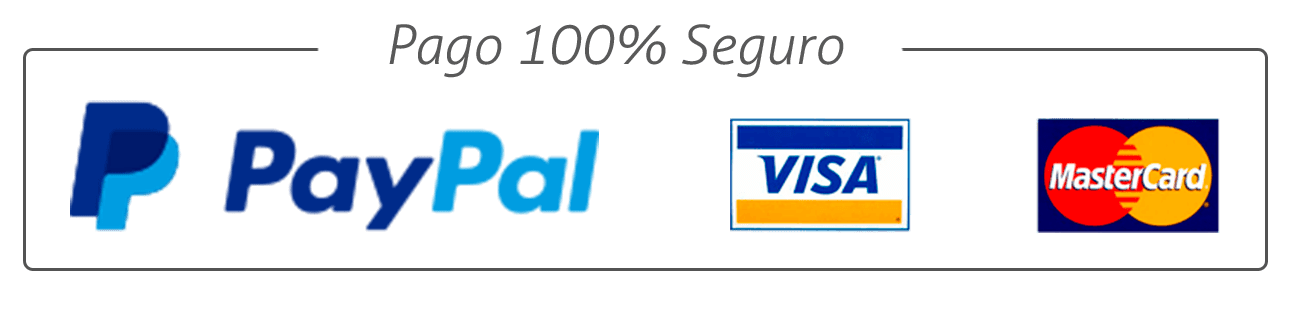 Pago-100-seguro_PayPal-Visa-Mastercard.p